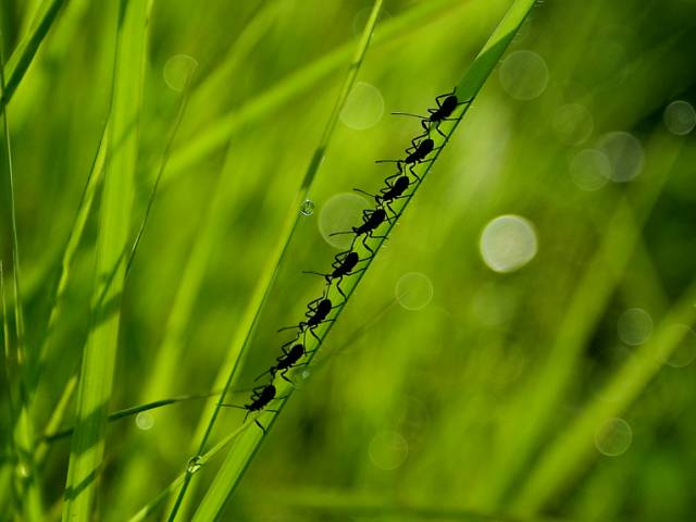 اخرین اخبار